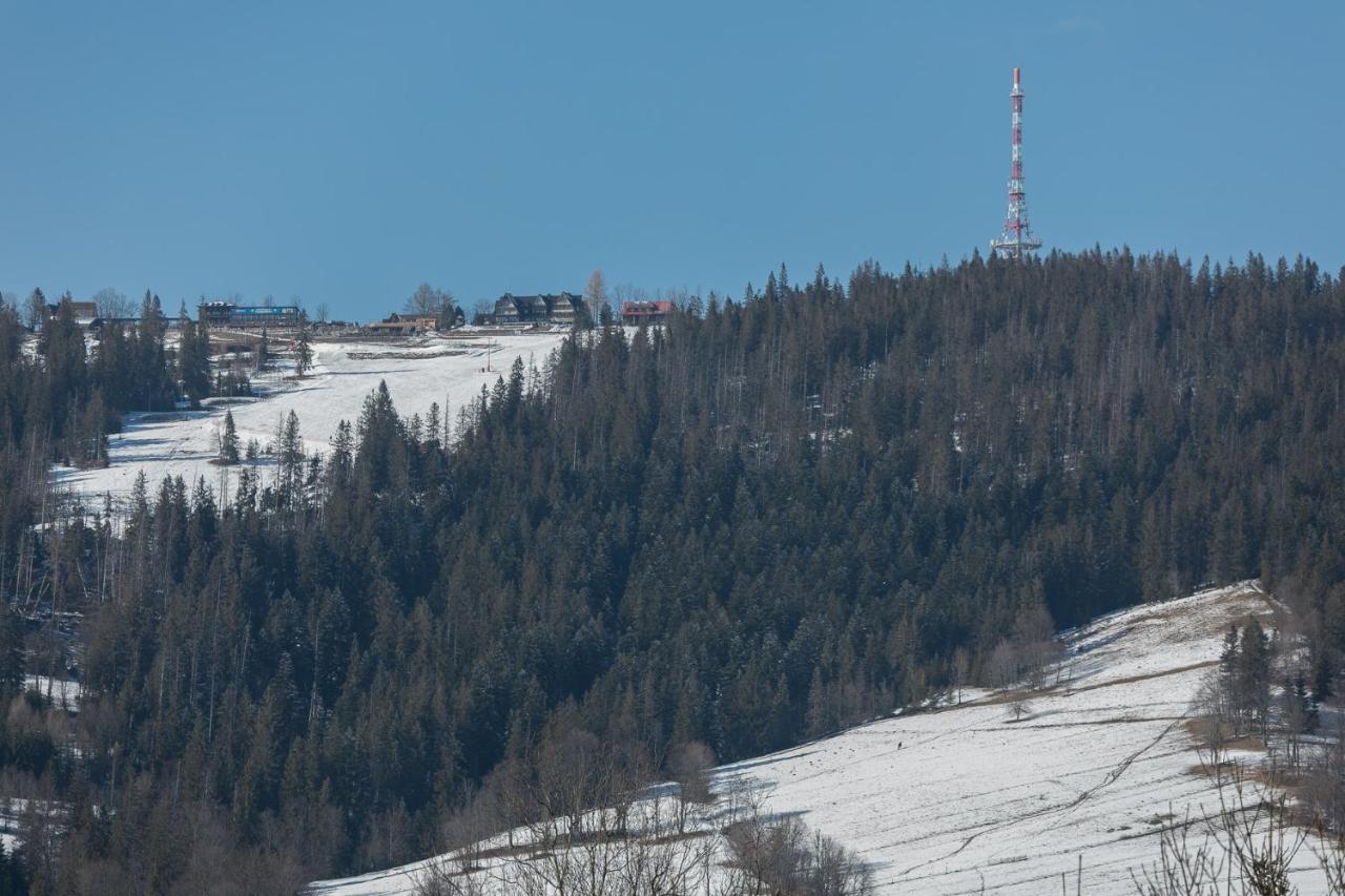 Rent Like Home - Orkana IX Zakopane Exteriör bild